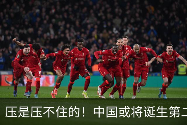 压是压不住的！中国或将诞生第二个华为
